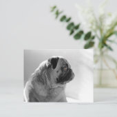 プロファイル内のPUG ポストカード (スタンド正面)