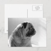 プロファイル内のPUG ポストカード (正面/裏面)