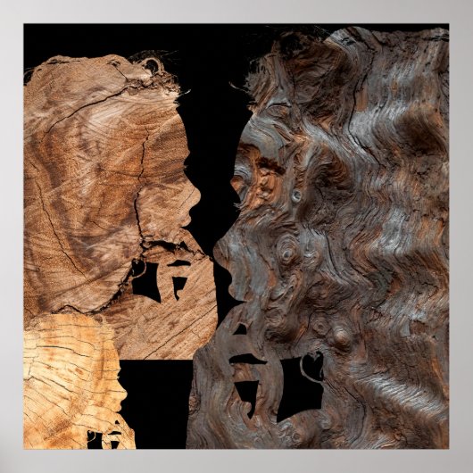 プロフィル・デ・フェム・ペルプルexe – ボワ ポスター (正面)