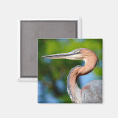 プロフィールから見たゴリアスヘロンのポートレート マグネット (正面/裏面)