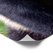 プロフィールから見たジャイアントパンダのクローズアップ ポスター (角)