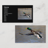 プロフィールか名刺、アヒル 名刺 (正面/裏面)