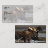 プロフィールか名刺、アメリカヘラジカのしぶき 名刺 (正面/裏面)