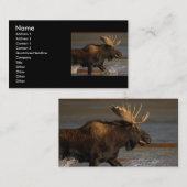 プロフィールか名刺、アメリカヘラジカ 名刺 (正面/裏面)