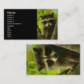 プロフィールか名刺、アライグマ 名刺 (正面/裏面)