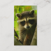 プロフィールか名刺、アライグマ 名刺 (裏面)