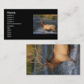 プロフィールか名刺、オオシカのしぶき 名刺 (正面/裏面)