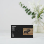 プロフィールか名刺、オオシカのビューグル 名刺 (スタンド正面)