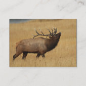 プロフィールか名刺、オオシカ 名刺 (裏面)