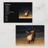 プロフィールか名刺、オオシカ 名刺 (正面/裏面)