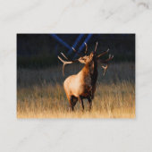 プロフィールか名刺、オオシカ 名刺 (裏面)