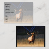 プロフィールか名刺、オオシカ 名刺 (正面/裏面)