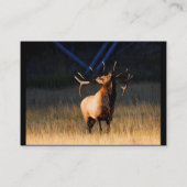 プロフィールか名刺、オオシカ 名刺 (裏面)