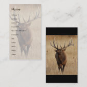 プロフィールか名刺、オオシカ 名刺 (正面/裏面)