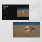 プロフィールか名刺、クレーン 名刺 (正面/裏面)