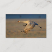 プロフィールか名刺、クレーン 名刺 (裏面)