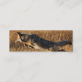 プロフィールか名刺、コヨーテの跳躍 スキニー名刺 (裏面)