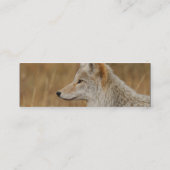 プロフィールか名刺、コヨーテ スキニー名刺 (裏面)