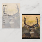 プロフィールか名刺、シカ 名刺 (正面/裏面)