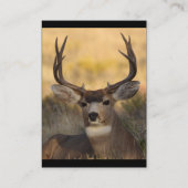 プロフィールか名刺、シカ 名刺 (裏面)