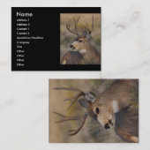 プロフィールか名刺、シカ 名刺 (正面/裏面)