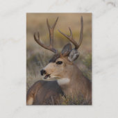 プロフィールか名刺、シカ 名刺 (裏面)