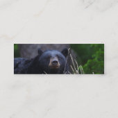 プロフィールか名刺、ツキノワグマ スキニー名刺 (裏面)