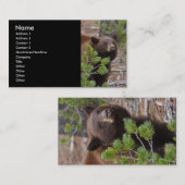 プロフィールか名刺、ツキノワグマ 名刺 (正面/裏面)