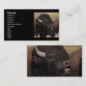 プロフィールか名刺、バイソンのうなること 名刺 (正面/裏面)