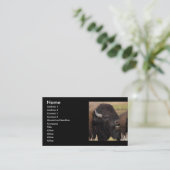 プロフィールか名刺、バイソンのうなること 名刺 (スタンド正面)