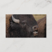 プロフィールか名刺、バイソンのうなること 名刺 (裏面)