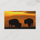 プロフィールか名刺、バイソン 名刺 (裏面)