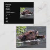 プロフィールか名刺、ビーバー 名刺 (正面/裏面)