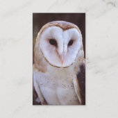 プロフィールか名刺、フクロウ 名刺 (裏面)