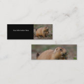 プロフィールか名刺、プレーリードッグ スキニー名刺 (正面/裏面)