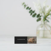 プロフィールか名刺、プレーリードッグ スキニー名刺 (スタンド正面)