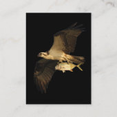 プロフィールか名刺、ミサゴ 名刺 (裏面)