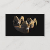 プロフィールか名刺、ラム 名刺 (裏面)