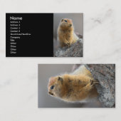 プロフィールか名刺、リス 名刺 (正面/裏面)