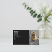 プロフィールか名刺、リス 名刺 (スタンド正面)