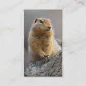 プロフィールか名刺、リス 名刺 (裏面)