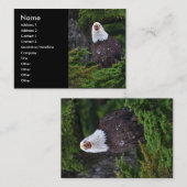 プロフィールか名刺、ワシ 名刺 (正面/裏面)