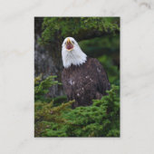 プロフィールか名刺、ワシ 名刺 (裏面)