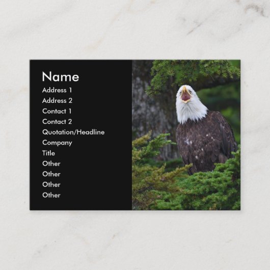 プロフィールか名刺、ワシ 名刺 (正面)