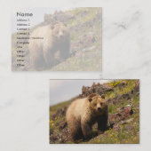 プロフィールか名刺、灰色グマ 名刺 (正面/裏面)