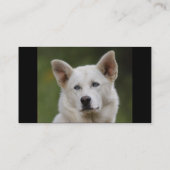 プロフィールか名刺、犬 名刺 (裏面)