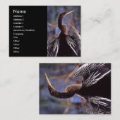 プロフィールか名刺、anhinga 名刺 (正面/裏面)