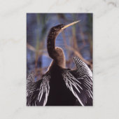 プロフィールか名刺、anhinga 名刺 (裏面)