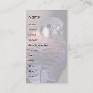 プロフィールか名刺、kestrel 名刺