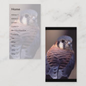 プロフィールか名刺、kestrel 名刺 (正面/裏面)